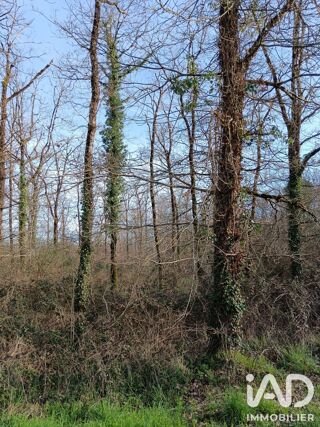  Terrain à vendre 24045 m²