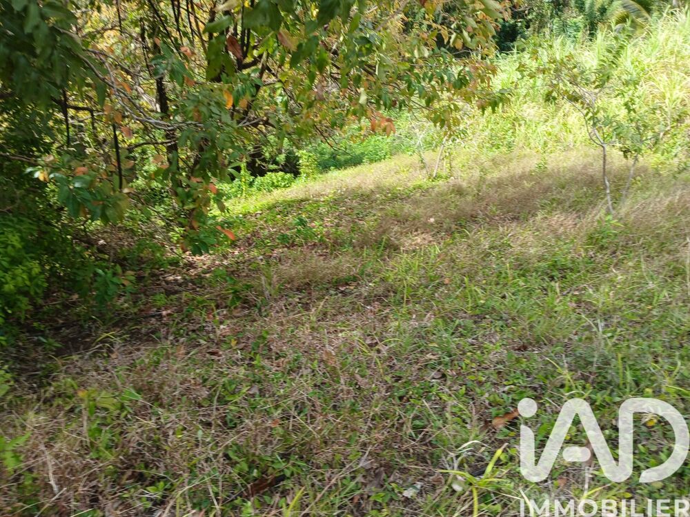 Vente Terrain Vente Terrain 11 000 m&sup2; Rivière-pilote