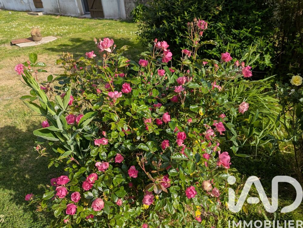 Vente Maison Vente Longère 6 pièces Mauves-sur-loire