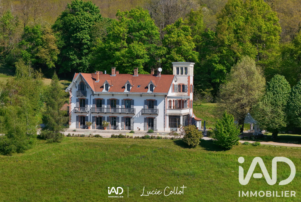 Vente Maison Vente Domaine 14 pièces La côte-saint-andré