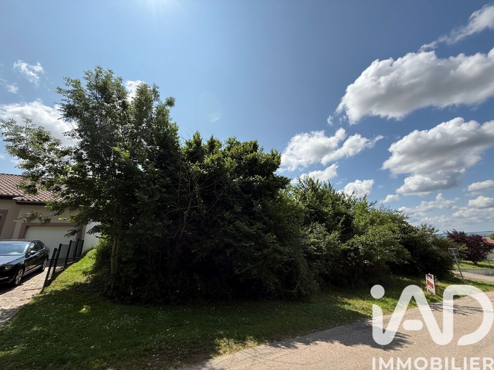 Vente Terrain Vente Terrain 3 880 m&sup2; Liocourt