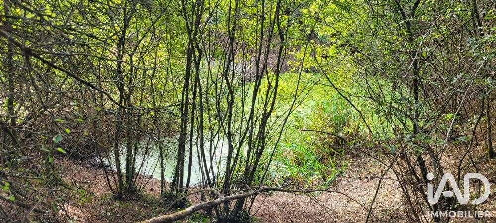 Vente Terrain Vente Terrain 12 770 m&sup2; Aizenay