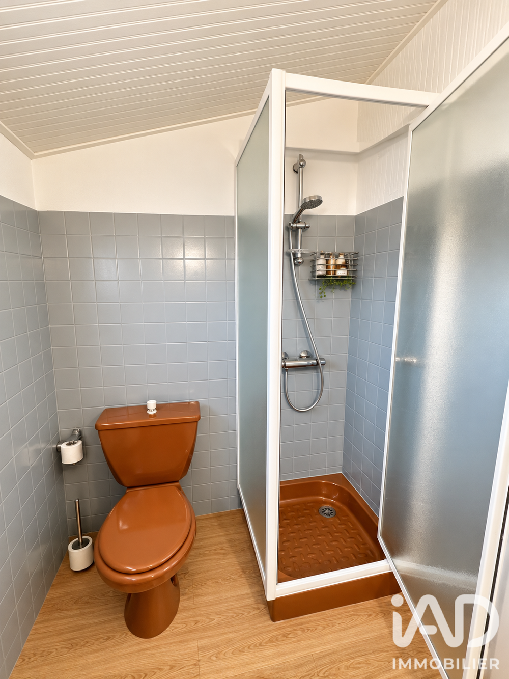 à vendre  Maison Bretignolles-sur-Mer (85470)