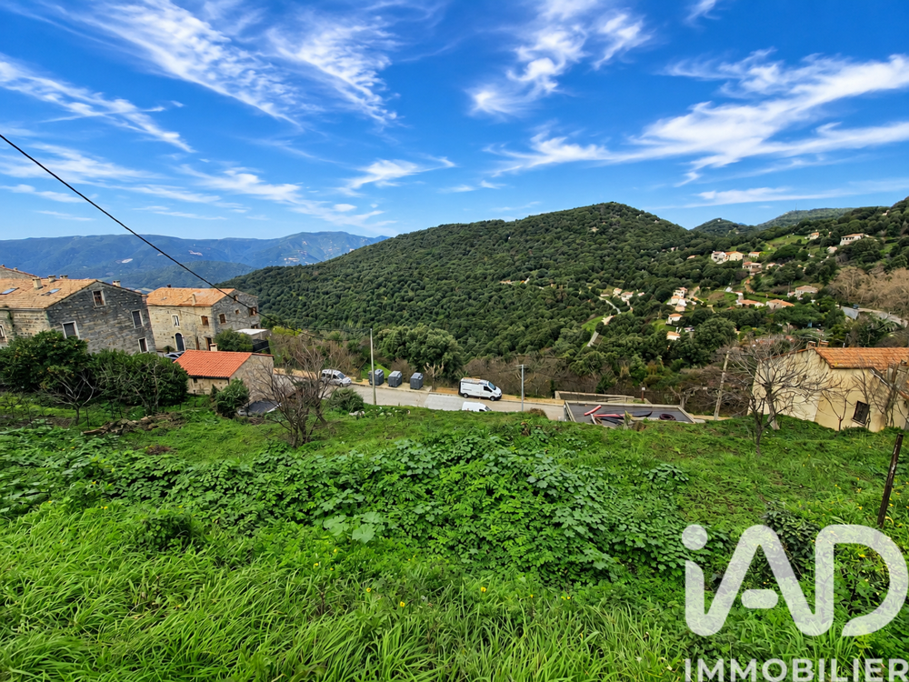 Vente Terrain Vente Terrain 750 m&sup2; Sollacaro