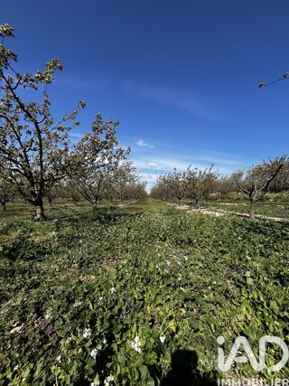  Terrain à vendre 103160 m²