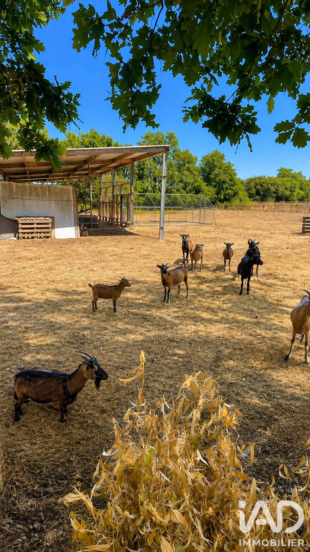 Vente Maison de campagne 3 pièces