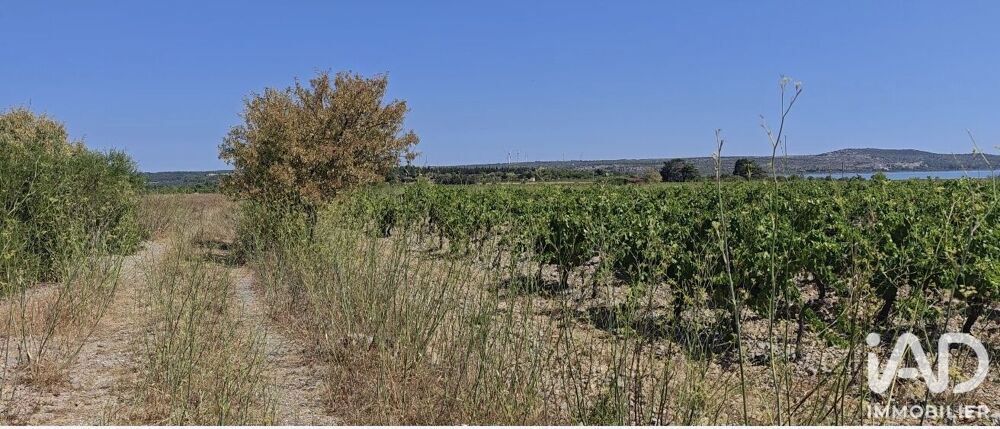 Vente Terrain Vente Terrain agricole 3 315 m&sup2; La palme