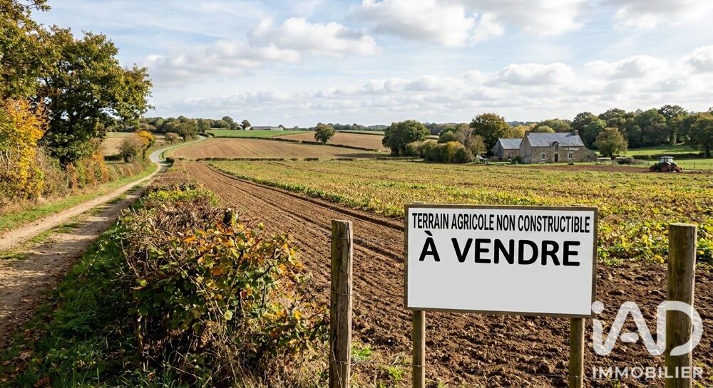 Vente Terrain Vente Terrain agricole 3 792 m&sup2; Douvrend