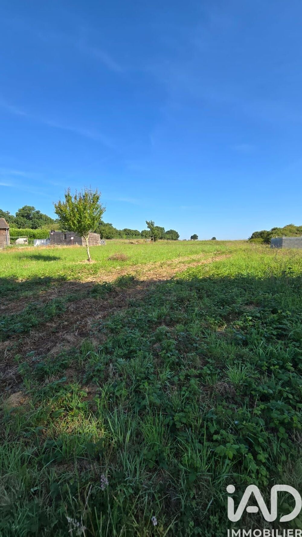 Vente Terrain Vente Terrain 1 585 m&sup2; Chatillon