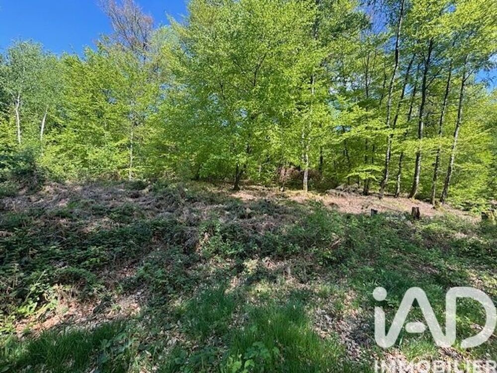 Vente Autre Vente Gîte 3 pièces Renauvoid