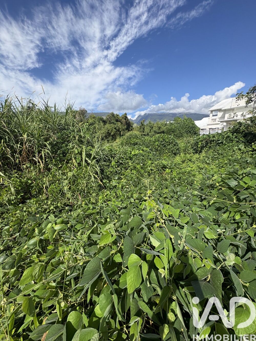 Vente Terrain Vente Terrain à bâtir 3 600 m&sup2; Ste marie
