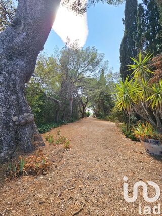  Maison à vendre 15 + pièces 957 m²