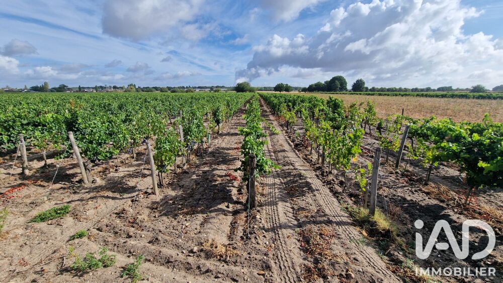 Vente Terrain Vente Terrain agricole 65 000 m&sup2; Avoine