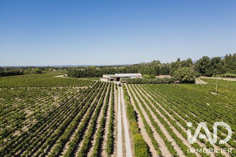   Vente Agriculture, Viticulture 800 m&sup2; 