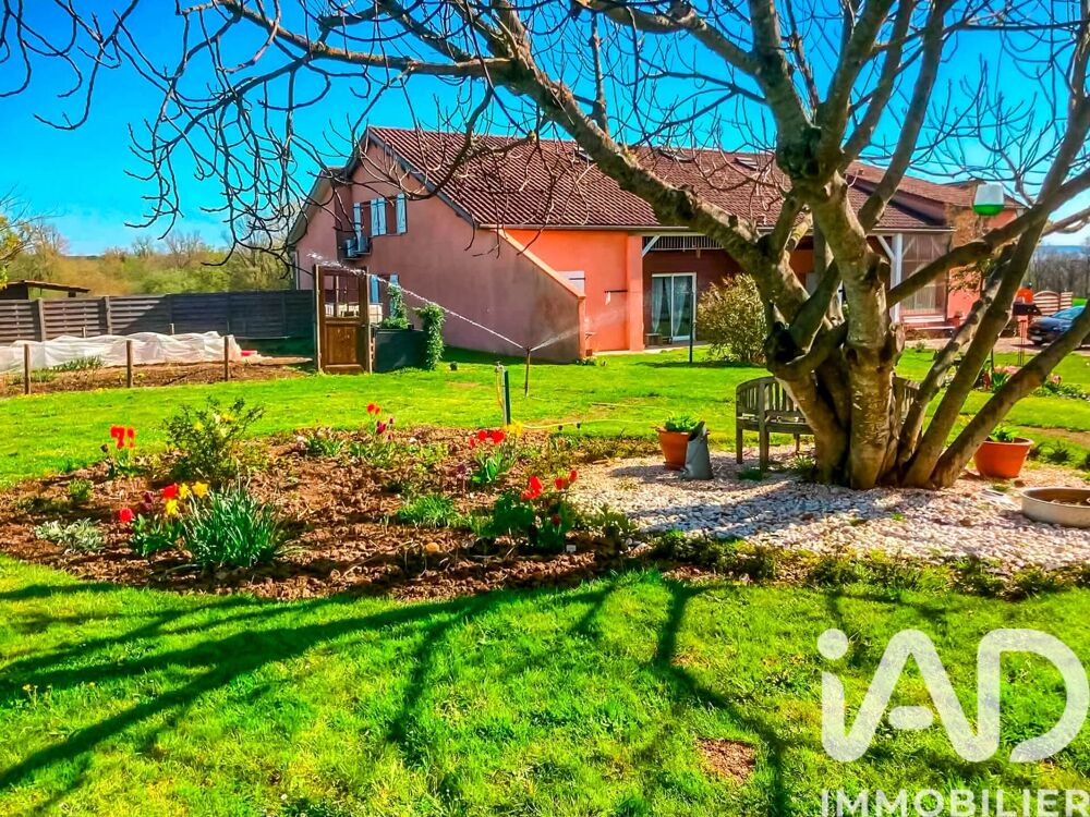 Vente Maison Vente Domaine 8 pièces Razimet