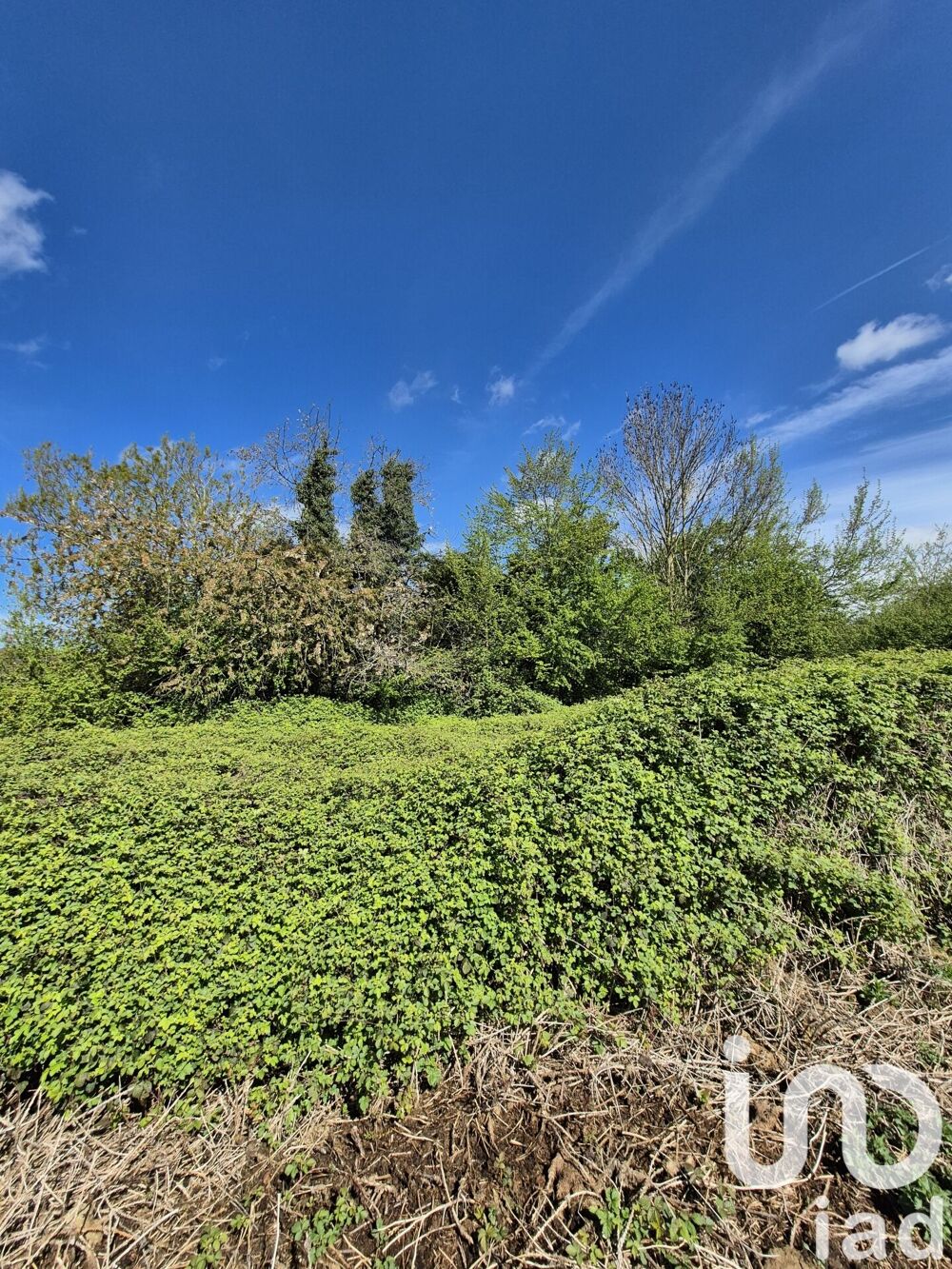 Vente Terrain Vente Terrain à bâtir 1 523 m&sup2; Rieux