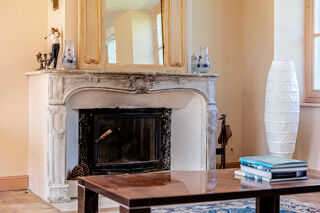  Maison � vendre 15 + pi�ces 490 m�