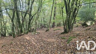  Terrain à vendre 10210 m²