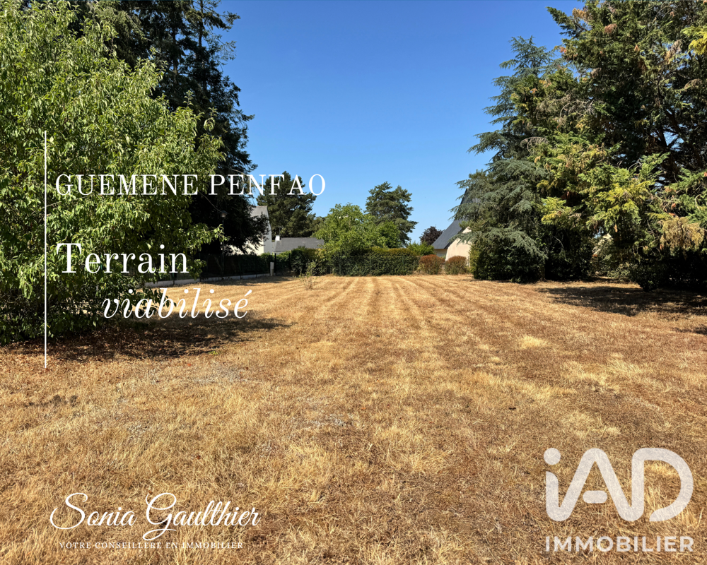Vente Terrain Vente Terrain à bâtir 1 624 m&sup2; Guémené-penfao