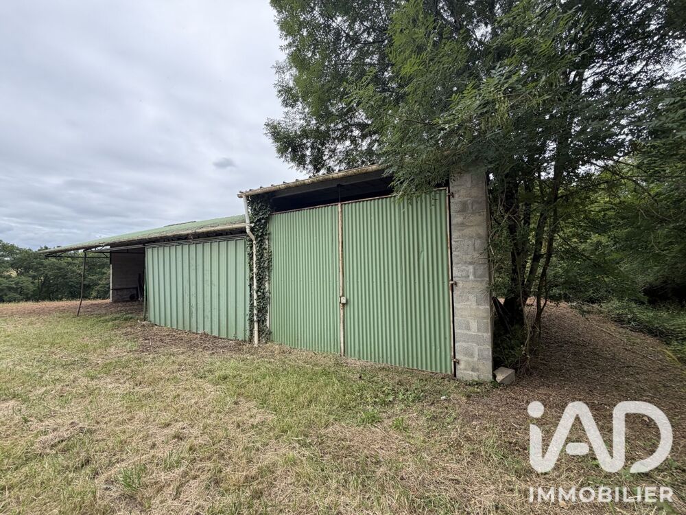 Vente Terrain 2356 m² - Plus