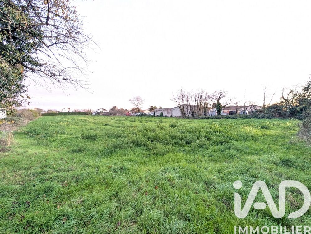 Vente Terrain Vente Terrain à bâtir 5 375 m&sup2; Lussac-les-châteaux