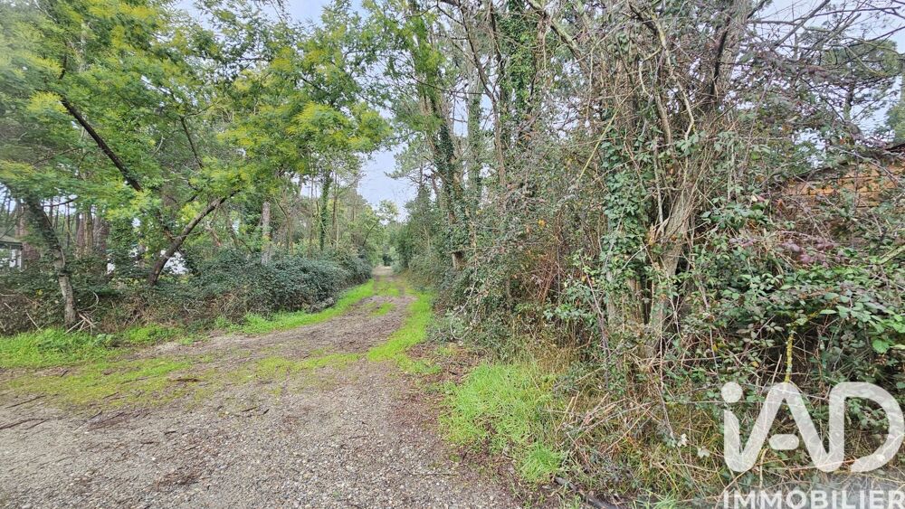 Vente Terrain Vente Terrain 760 m&sup2; Lège-cap-ferret