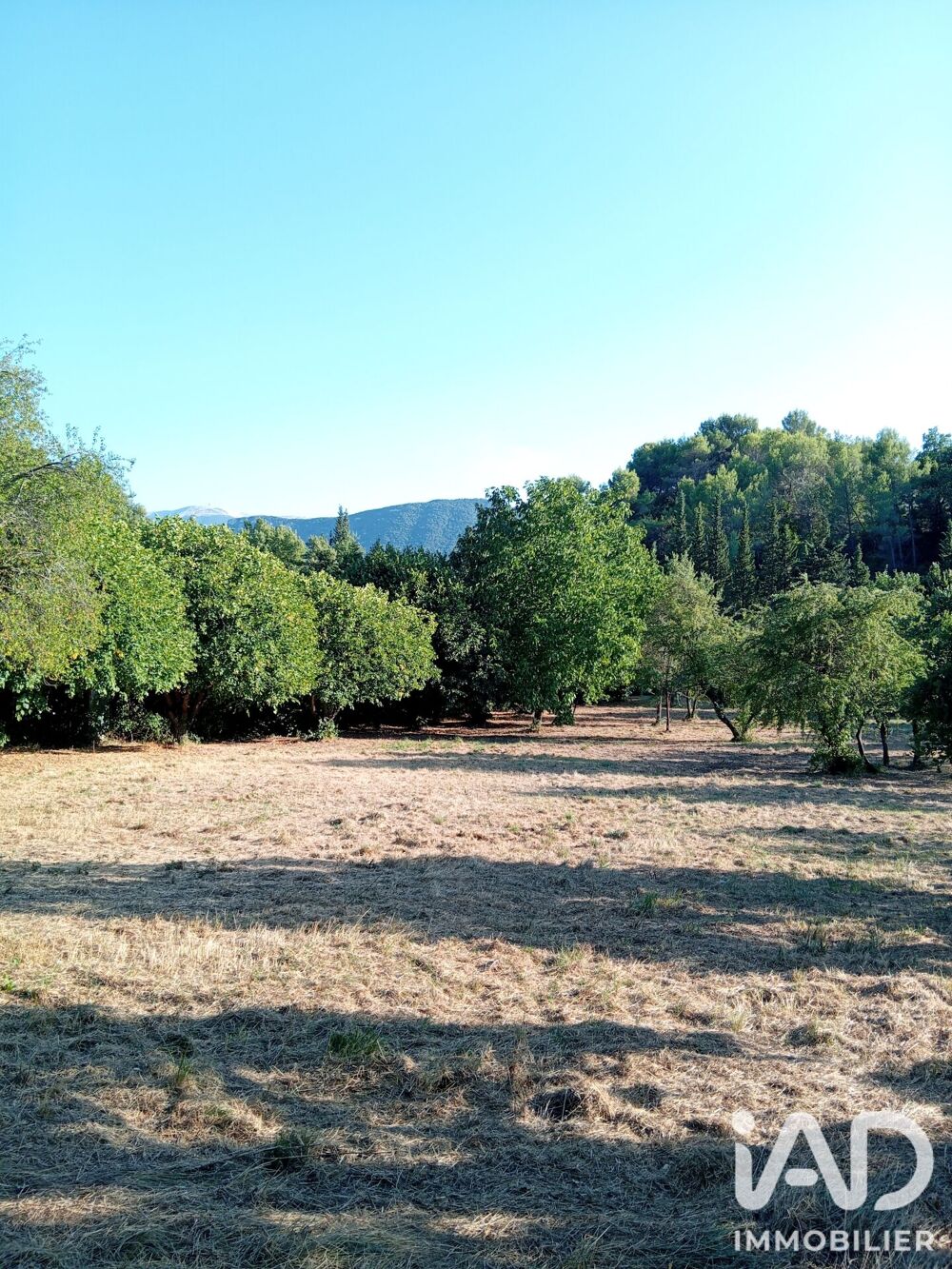 Vente Terrain Vente Terrain à bâtir 3 230 m&sup2; Buis-les-baronnies