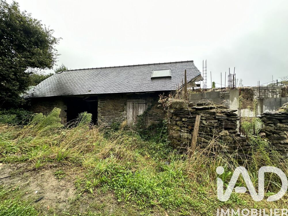 Vente Immeuble Vente Immeuble 110 m&sup2; Elliant