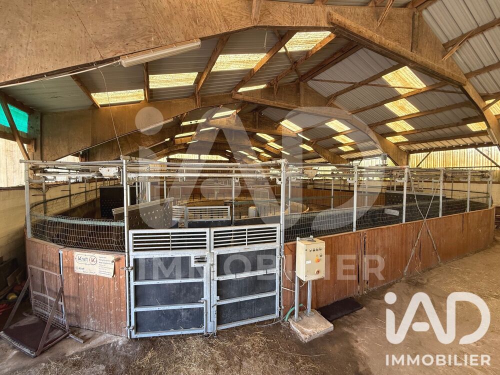 à vendre  Maison Lamorlaye (60260)
