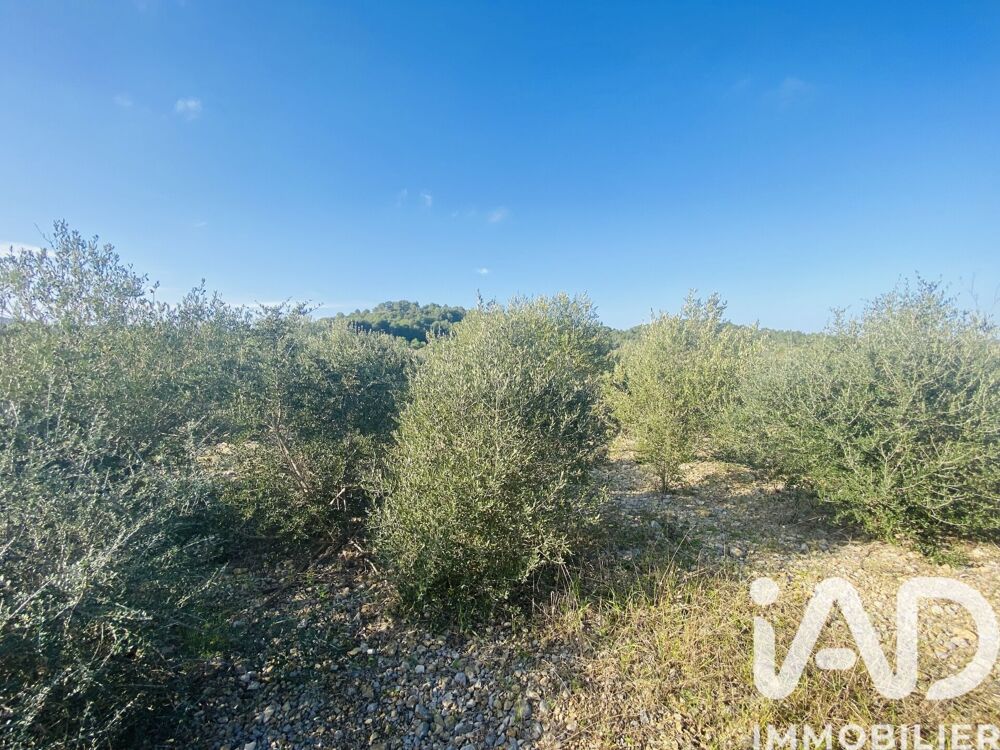 Vente Terrain Vente Terrain 4 910 m&sup2; Roquefort-des-corbieres