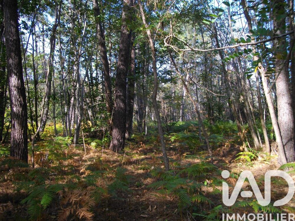 Vente Terrain Vente Surface diverse 44 000 m&sup2; Bazas