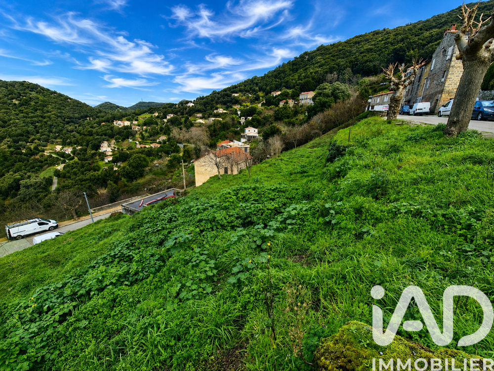 Vente Terrain Vente Terrain 750 m&sup2; Sollacaro