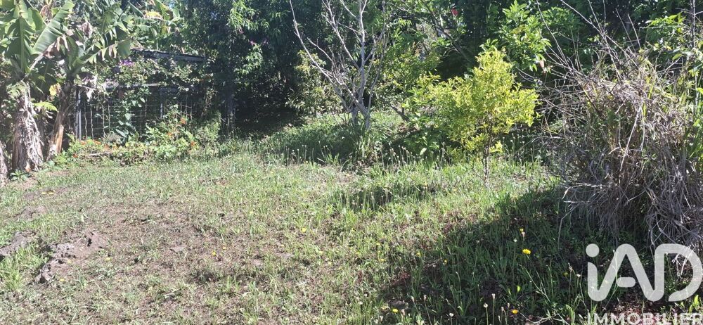 vente Terrain - 446 m² Plaine des Cafres (97418)