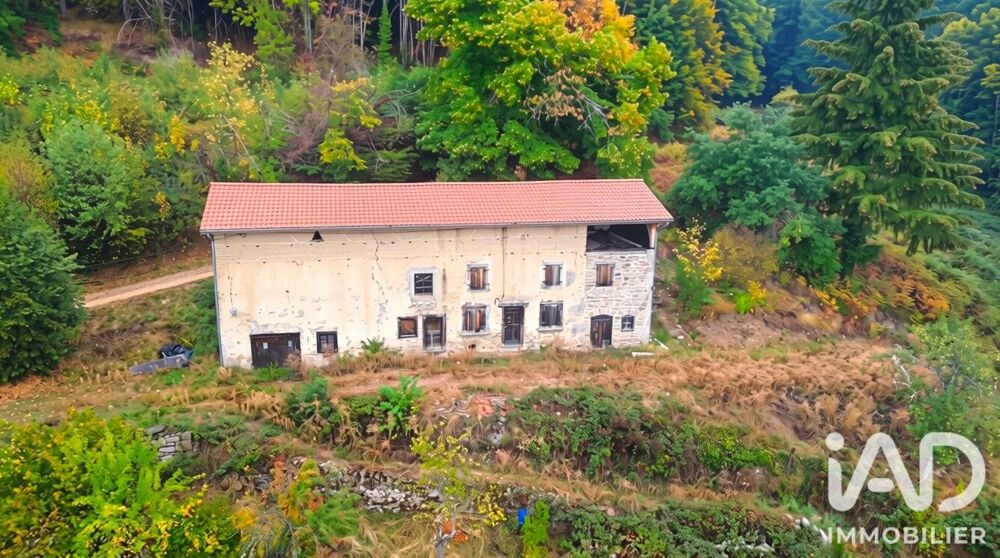 Vente Maison Vente Maison/villa 2 pièces Saint-martin-des-olmes
