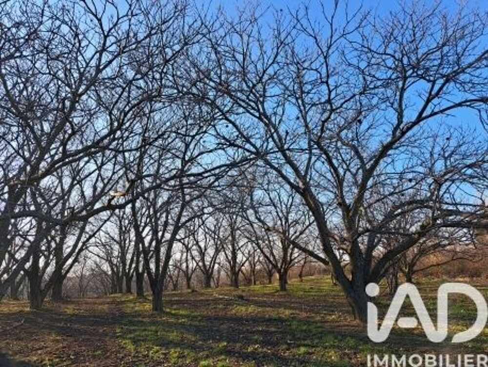 Vente Terrain Vente Terrain 55 000 m&sup2; Ozon