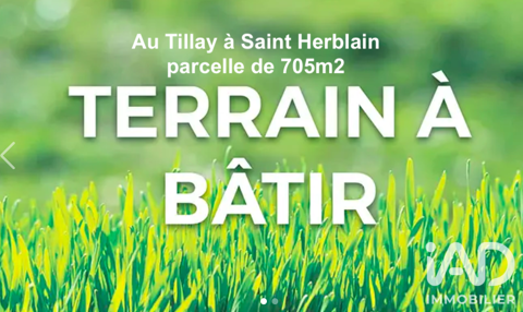 Image Annonce