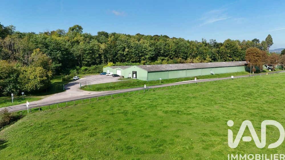 Vente Parking/Garage Vente Garage 7 000 m&sup2; Bourbonne-les-bains
