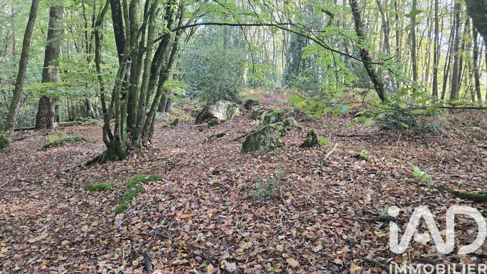 Vente Terrain Vente Terrain 10 210 m&sup2; Vieux-vy-sur-couesnon