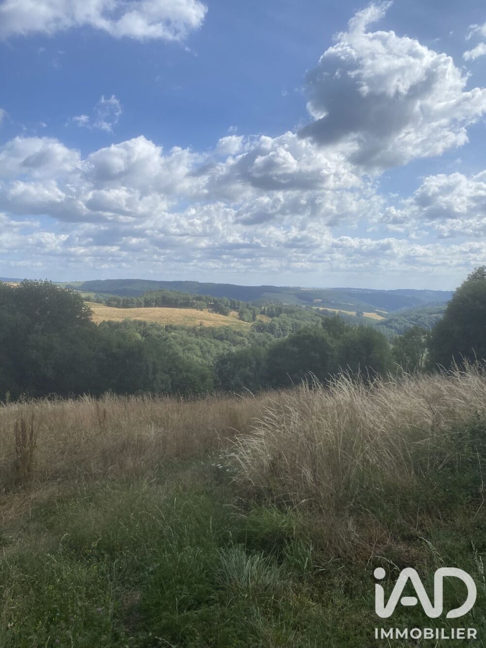 Vente Maison Vente Maison de campagne 6 pièces Le masnau-massuguiès