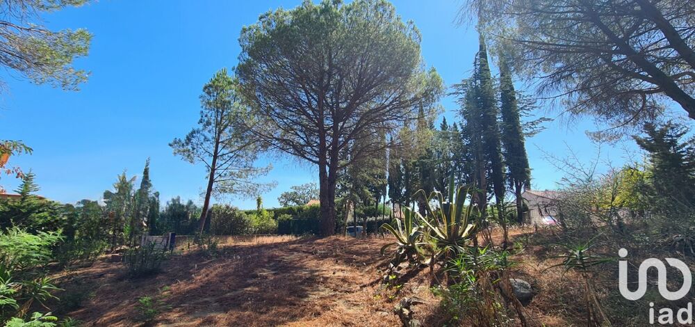 Vente Terrain Vente Terrain 1 430 m&sup2; Montesquieu-des-albères