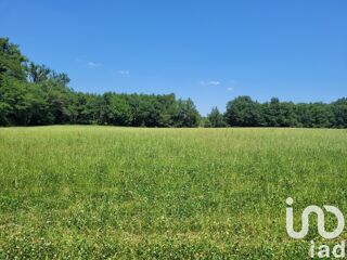  Terrain à vendre 10724 m²