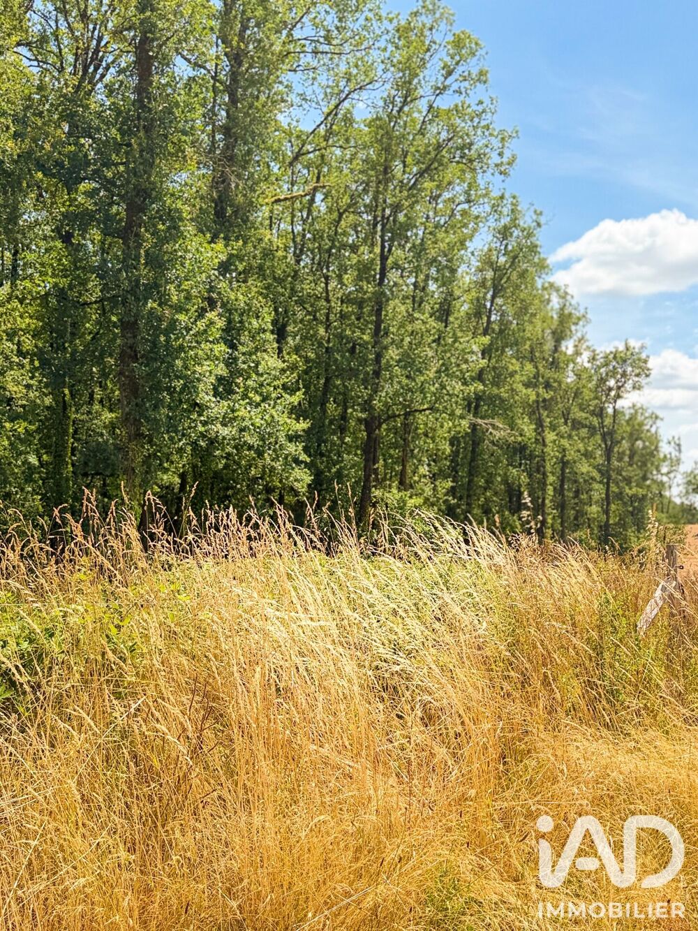 Vente Terrain Vente Terrain à bâtir 979 m&sup2; Saint-santin