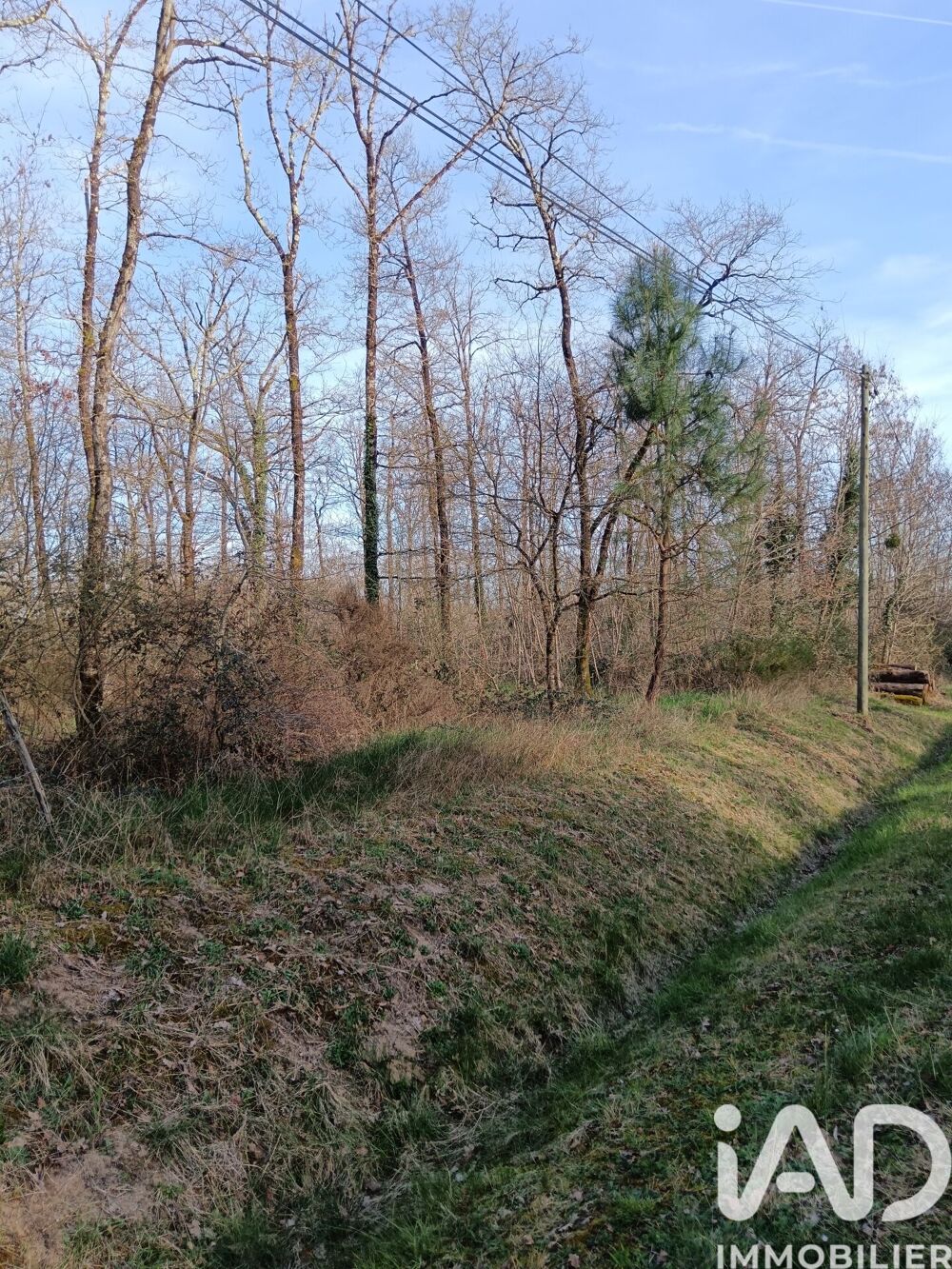 Vente Terrain Vente Terrain 24 045 m&sup2; Sainte-gemme