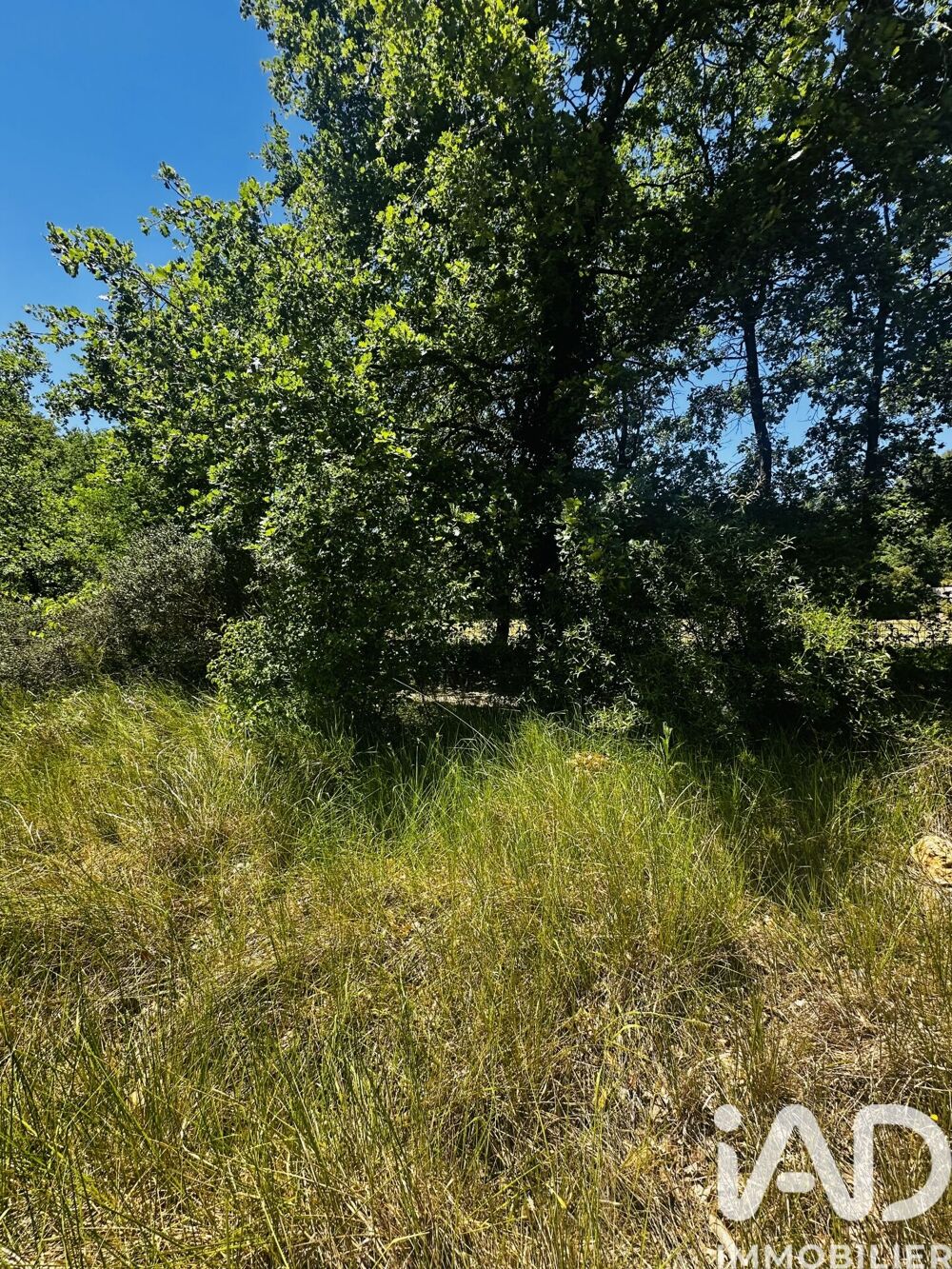 Vente Terrain Vente Terrain agricole 22 550 m&sup2; Callas