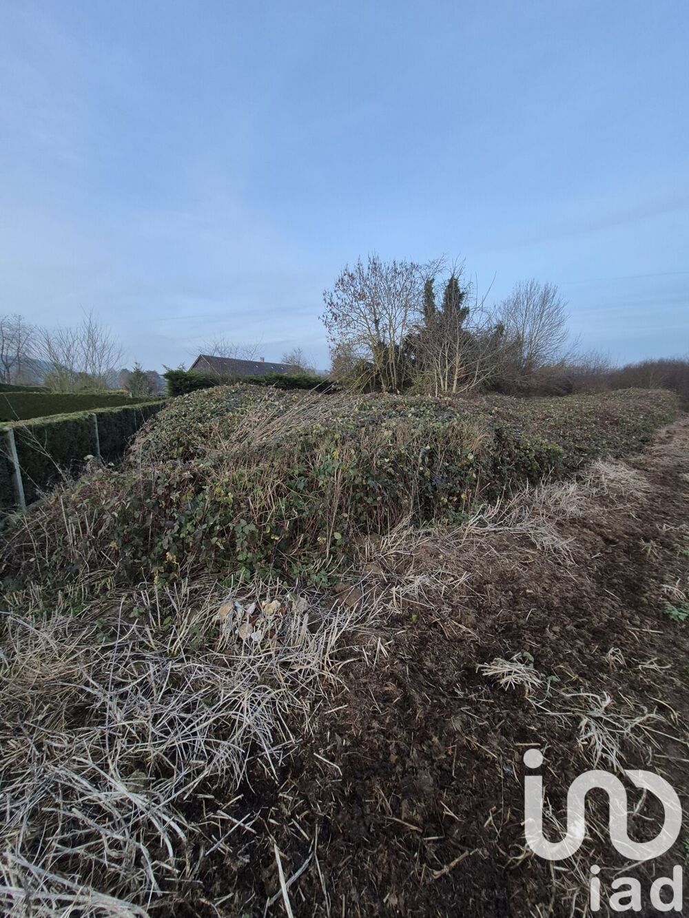 Vente Terrain Vente Terrain à bâtir 1 523 m&sup2; Rieux