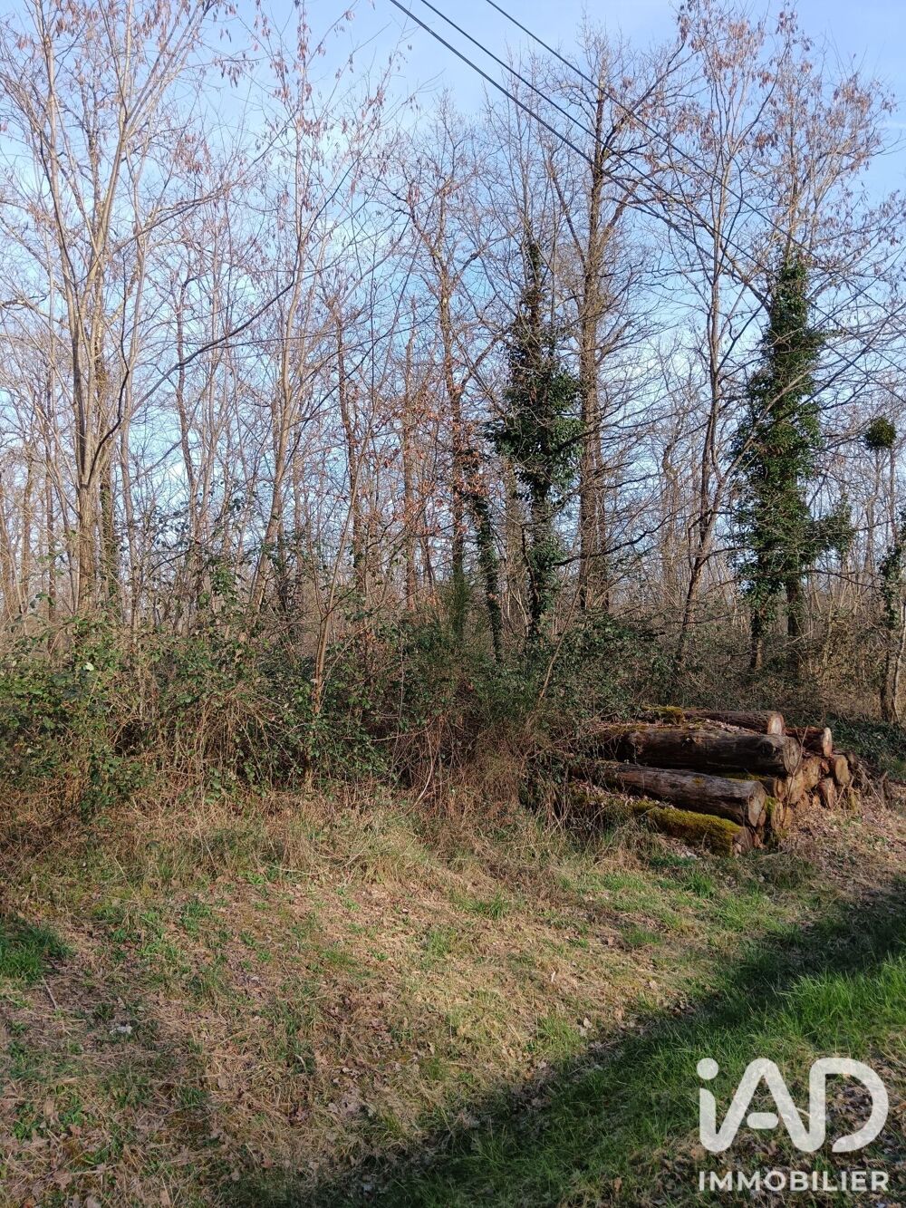 Vente Terrain Vente Terrain 24 045 m&sup2; Sainte-gemme