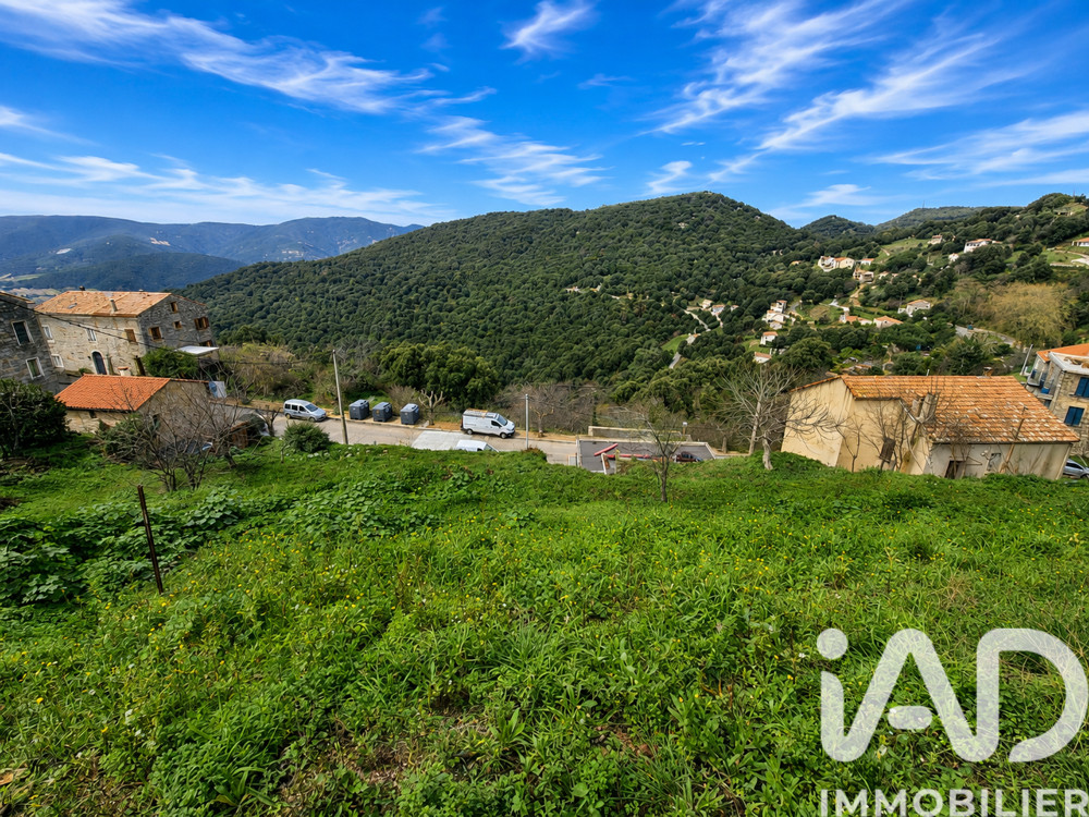 Vente Terrain Vente Terrain 750 m&sup2; Sollacaro
