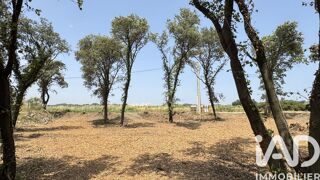  Terrain à vendre 650 m²