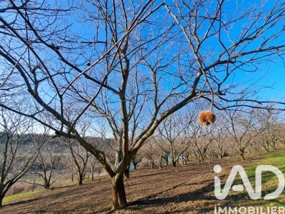 Vente Terrain Vente Terrain 55 000 m&sup2; Ozon