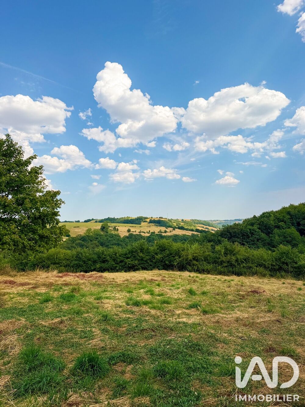 Vente Maison Vente Domaine 5 pièces Belcastel